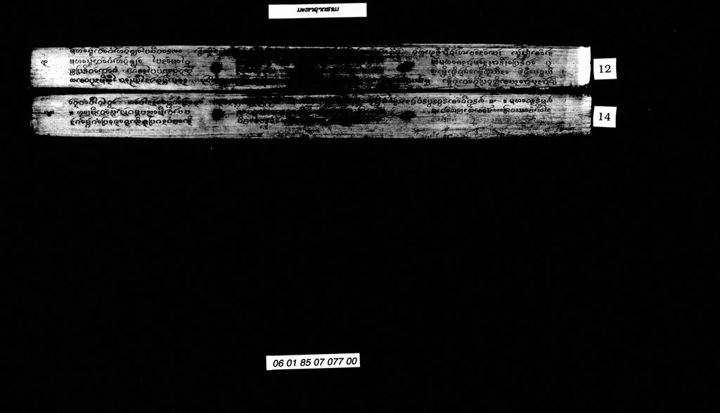 ມະຫາຊາຕສອມ