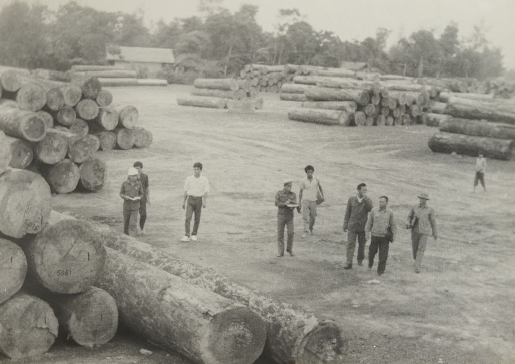 ການຂຸດ​ຄົ້ນ​ໄມ້​ສົ່ງ​ອອກ​ເປັນ​ສິນ​ຄ້າ