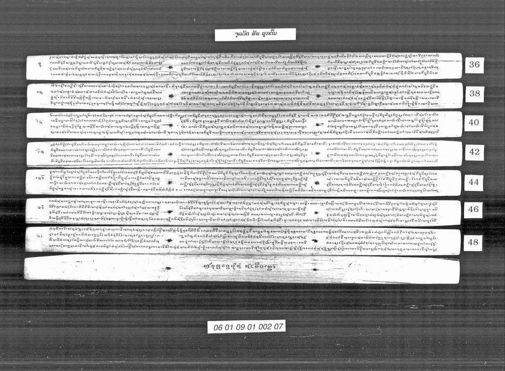 ຈຸລວັຄ ສັພ (ຜູກຕົ້ນ)