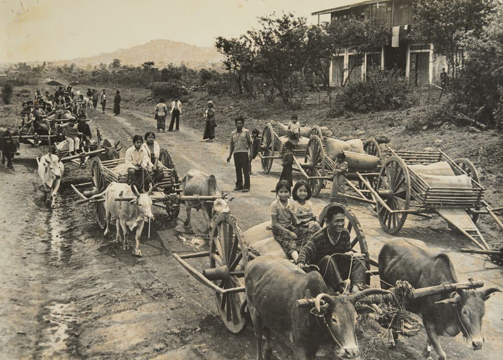 ໃຊ​້ກວ້ຽນ​ລຳ​ລຽງ​ອາ​ຫານ