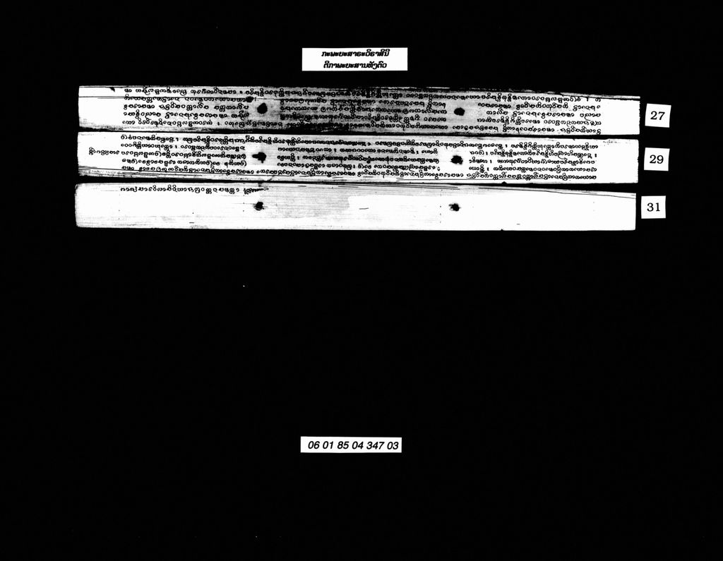 ກະພະຍະສາຣະວິຣາສິນີ,ຕີກາພະຍະສານທັງຕົວ ( ຕີກາ )