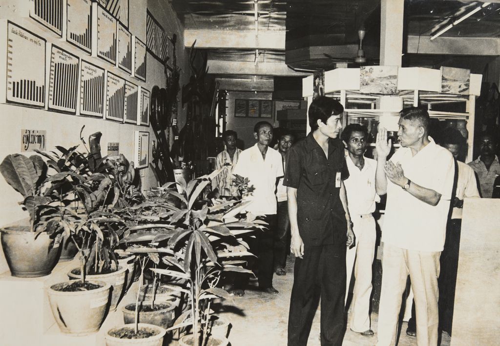 ການ​ຕັດ​ແຕ່ງ​ໄມ້