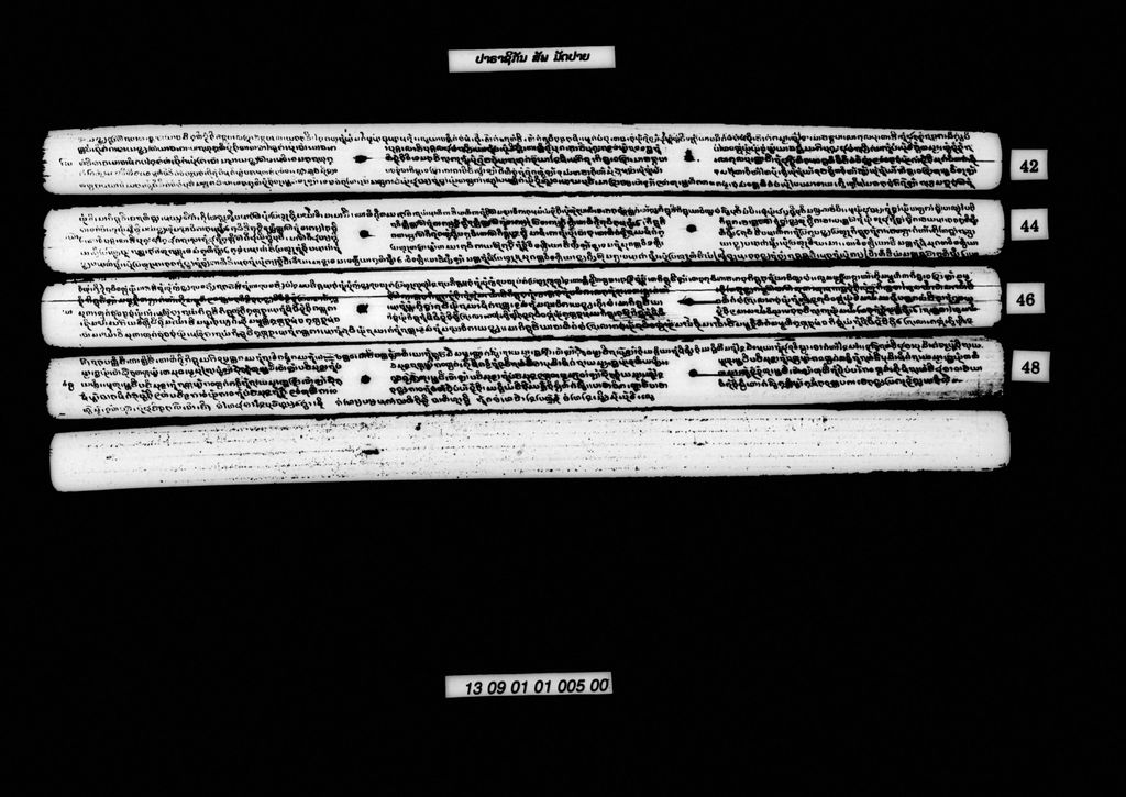 ປາຣາຊິກັນ (ສັພ) ມັດປາຍ