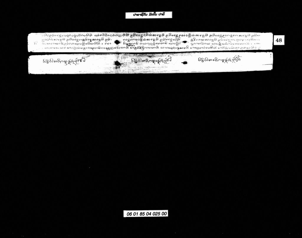 ປາຣາຊິກັນ ມັດຕົ້ນ (ປາລີ)