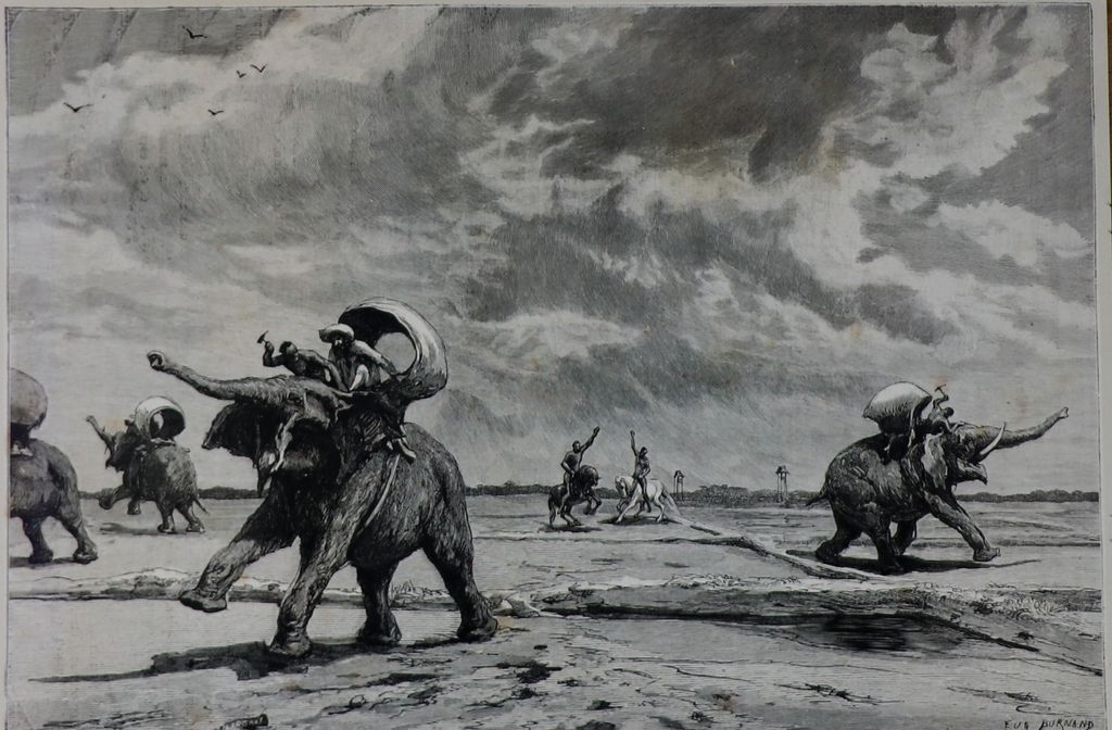 ຮູບ​ພ​າບຂາວດຳ ການຝຶກຊ້າງ ແລະມ້າ ປີ 1885