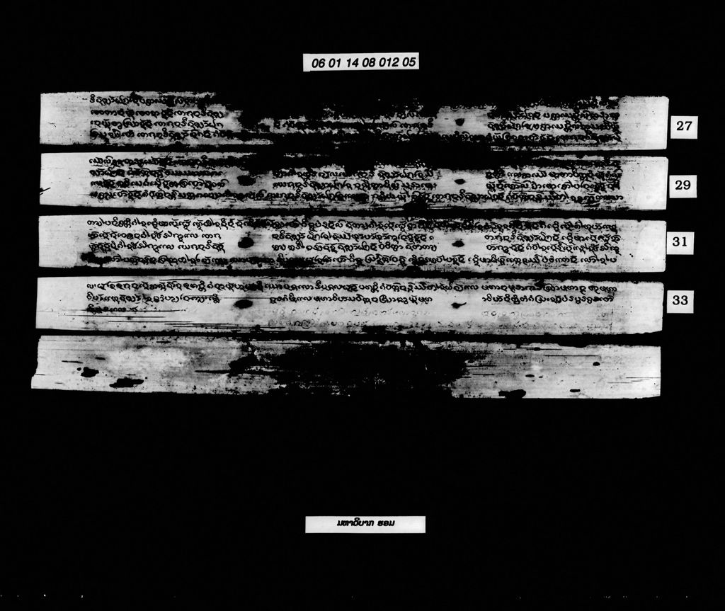 ມຫາວິບາກຮອມ