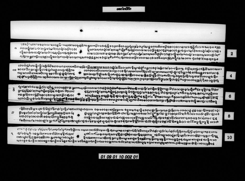 ຍອດໄຕປິດົກ