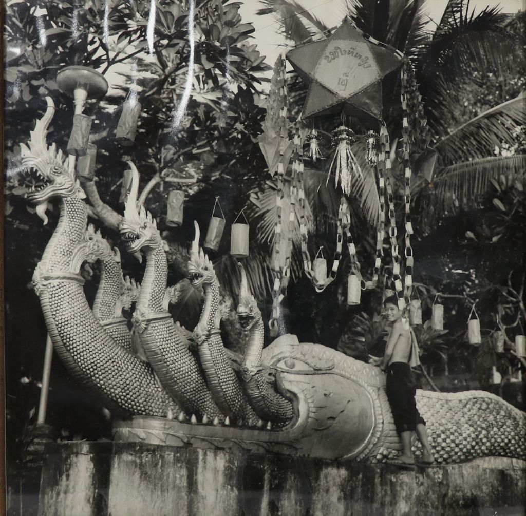 ຮູບພາບຂາວດໍາ  ພະຍານາກ7ຫົວ ມີຊາຍຄົນຫນຶ່ງຢືນຢູ່ທາງຂ້າງ