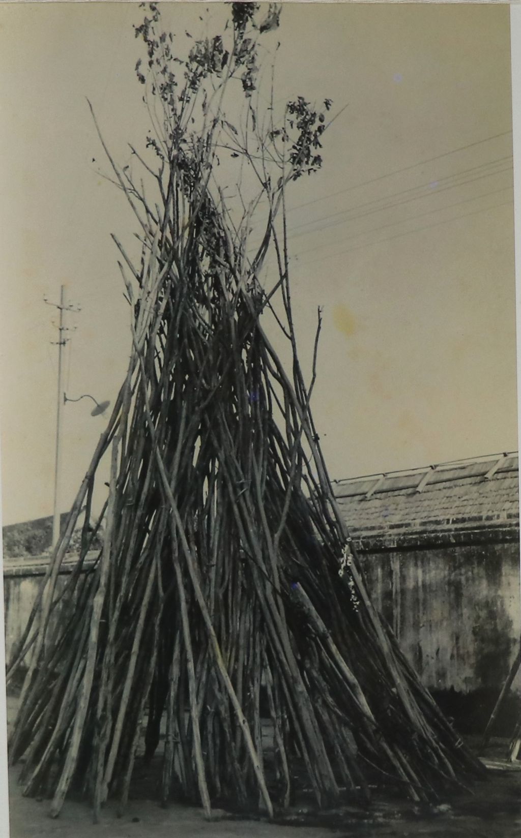 ຮູບພາບຂາວດໍາ ກອງໄມ້ເຂົ້າຈີ່ ປີ 1966