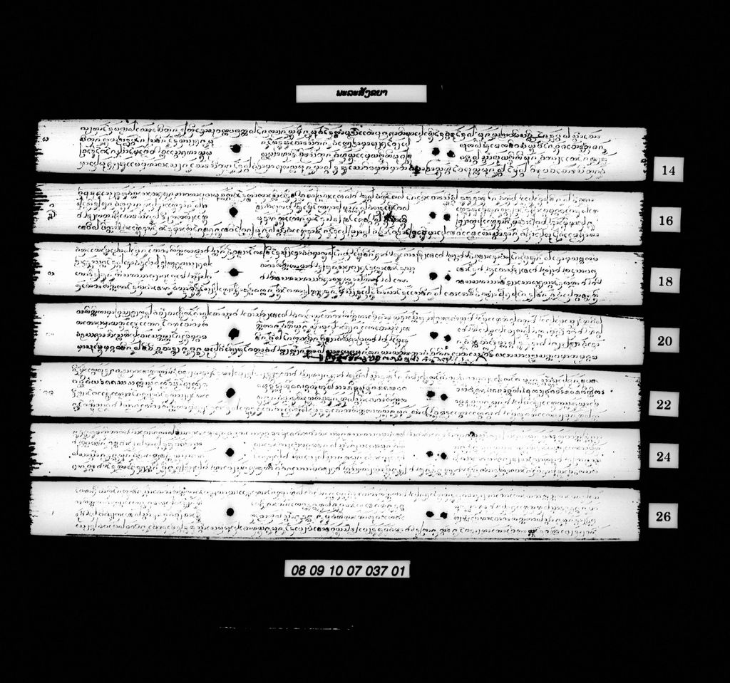 ພະລະສັງຂຍາ