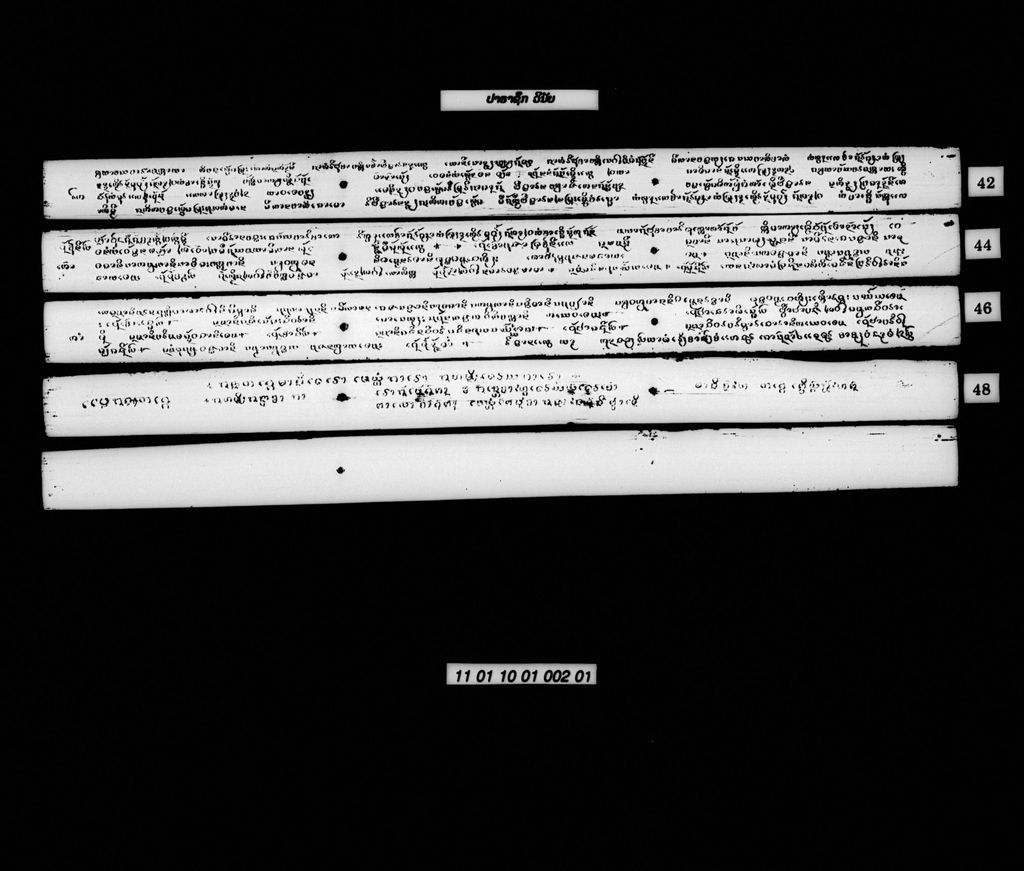 ປາຣະຊຶກ (ວິນັຍ)