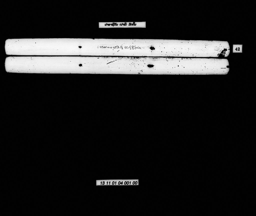 ປາຣາຊິກັນ (ປາລີ) ມັດຕົ້ນ