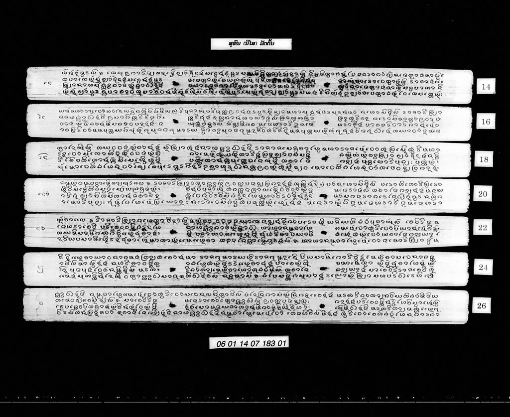 ສຸທົນ (ນິໄສ) ມັດຕົ້ນ