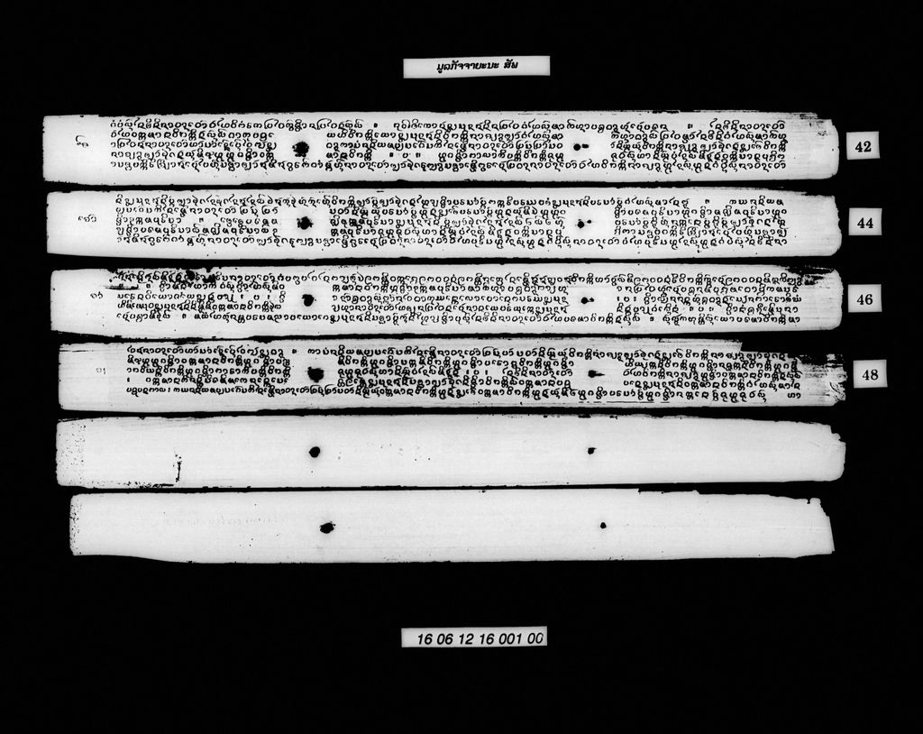 ມູລກັຈຈາຍະນະ (ສັພ)