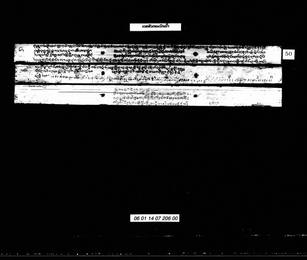 ເວສສັນຕຣະນົກເຄົ້າ