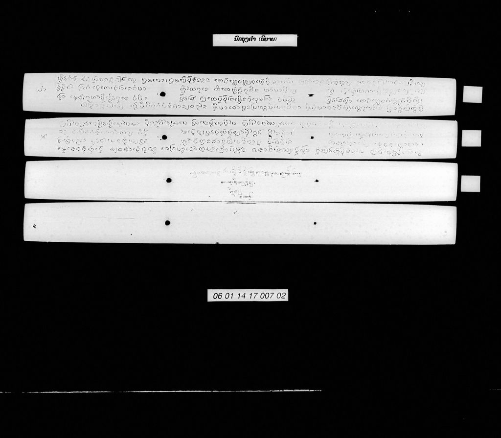 ນົກຍຸງຄຳ (ນິຍາຍ)