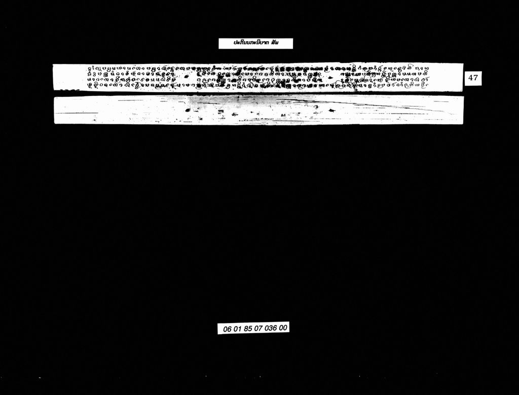 ປະກິນນກະນິບາຕ,ສັພ