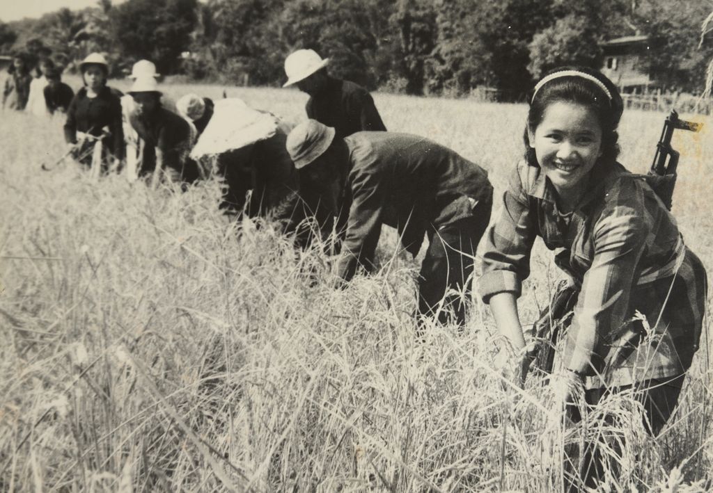 ທະ​ຫານ​ກ່ຽວ​ເຂົ້າ ແລະ ກຽມ​ພ້ອມ​ປ້ອງ​ກັນ​ຕົນ