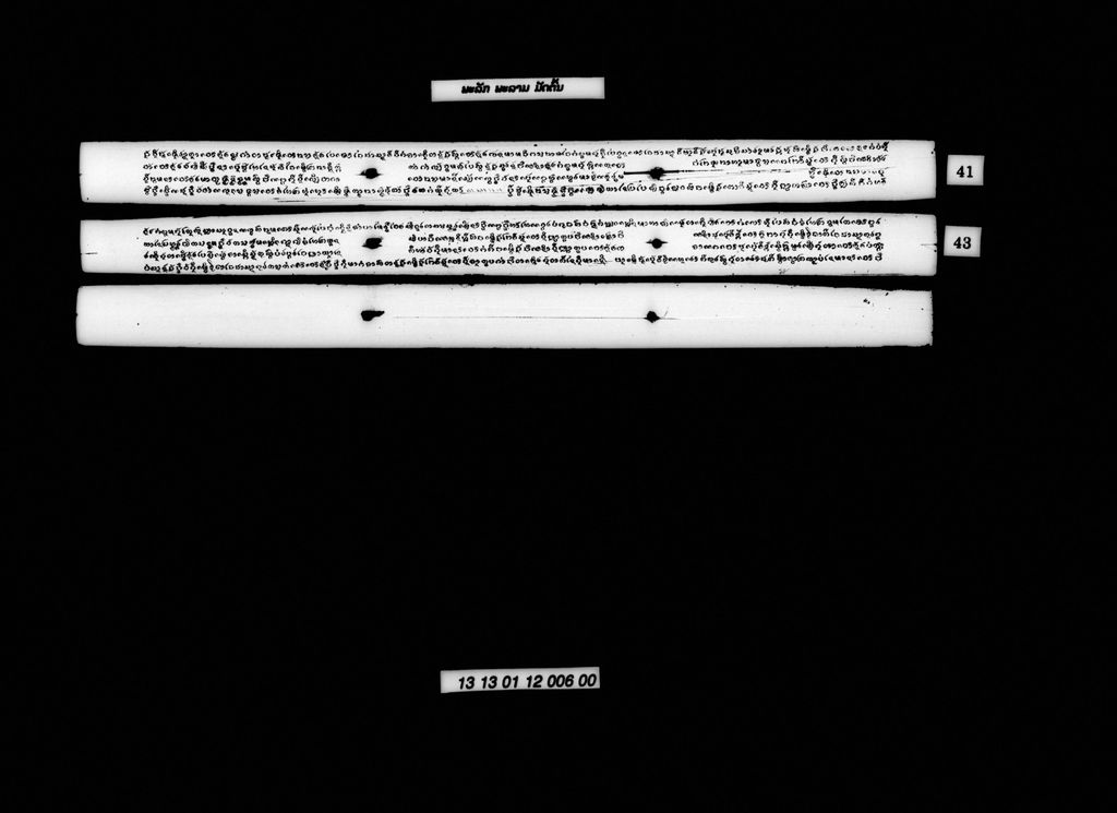 ພະລັກພະລາມ (ມັດຕົ້ນ)