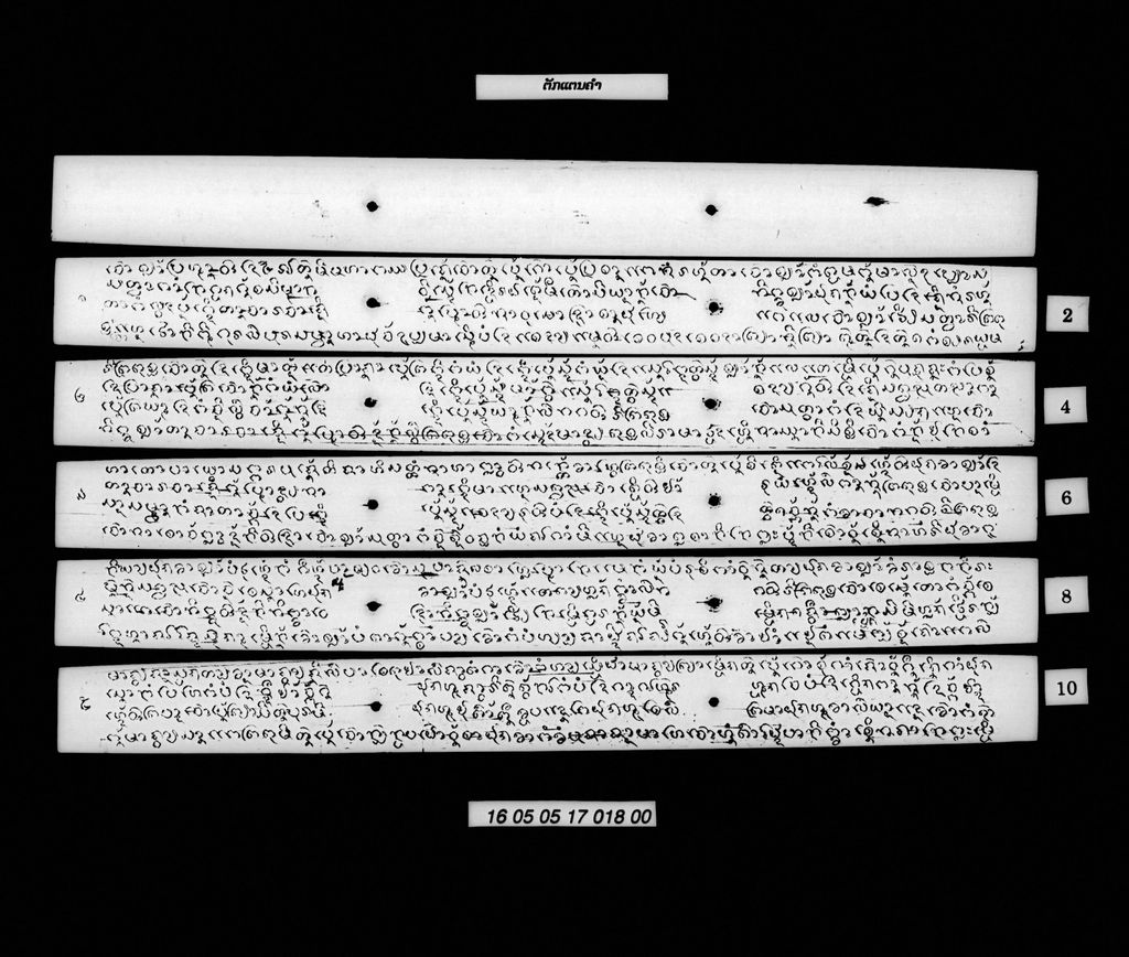 ຕັກແຕນຄຳ