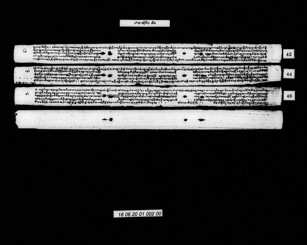 ປາຣາຊິກັນ (ສັພ)