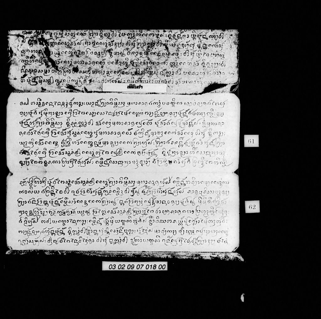 ໝີຂົນຄຳ