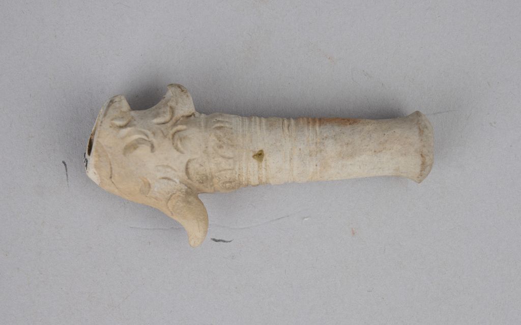 ກ້ານກອກຢາສູບ