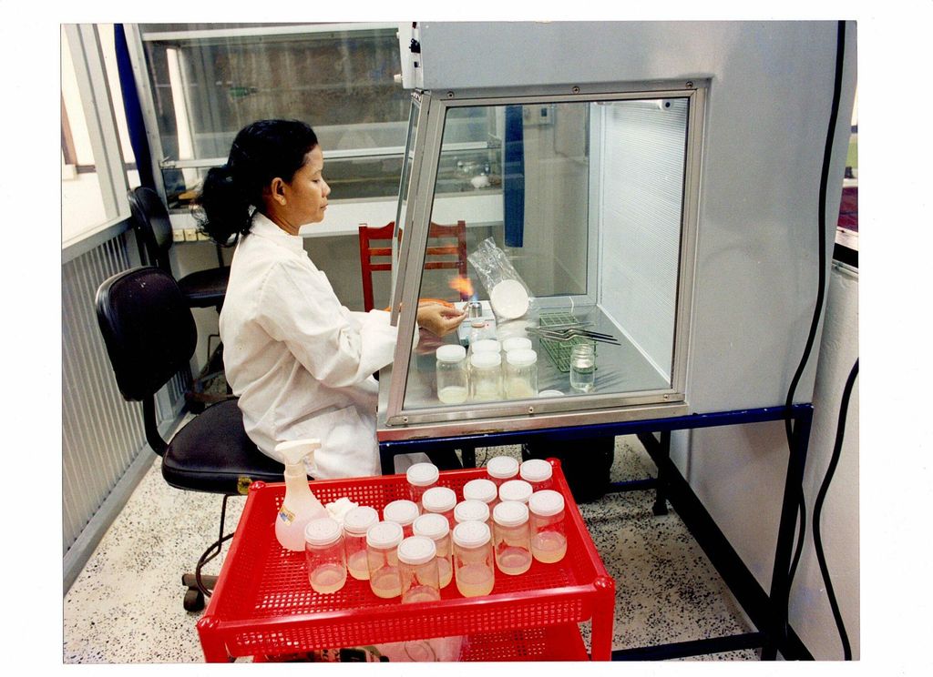 ວຽກ​ງານ​ສາ​ທາ​ລະ​ນະ​ສຸກ