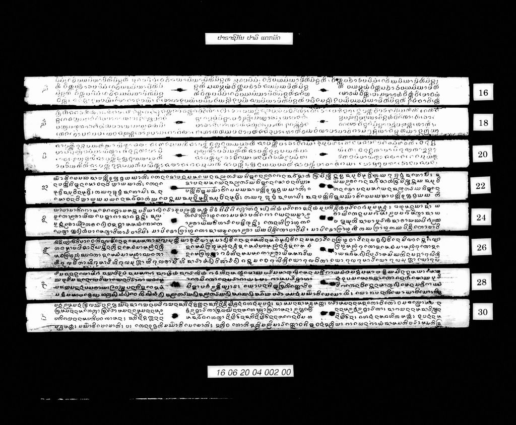 ປາຣາຊິກັນ (ປາລີ) ແຕກມັດ