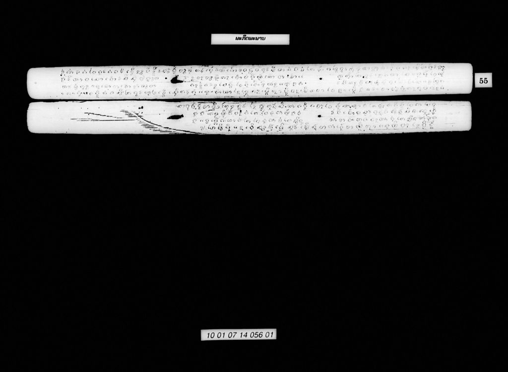 ພະກຶດພະພານ