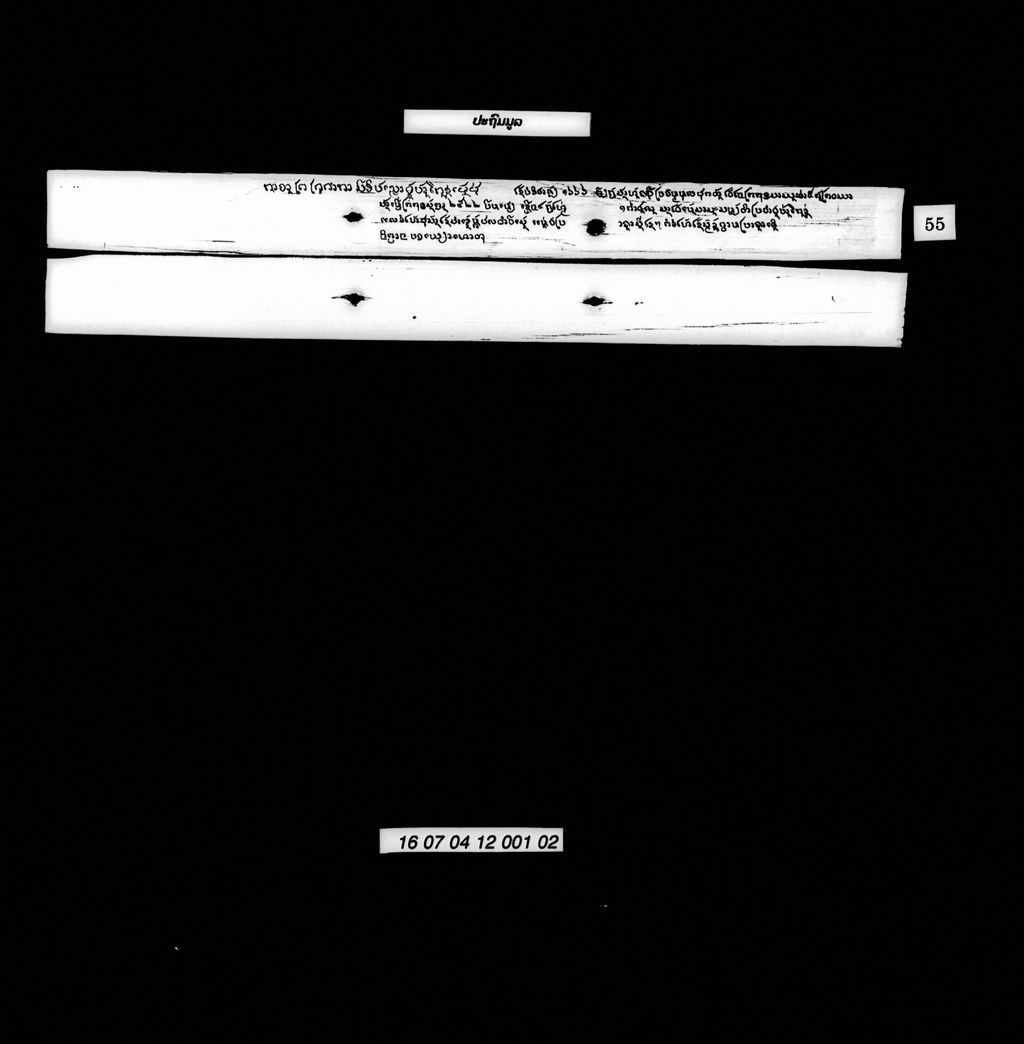 ປະຖົມມູລ