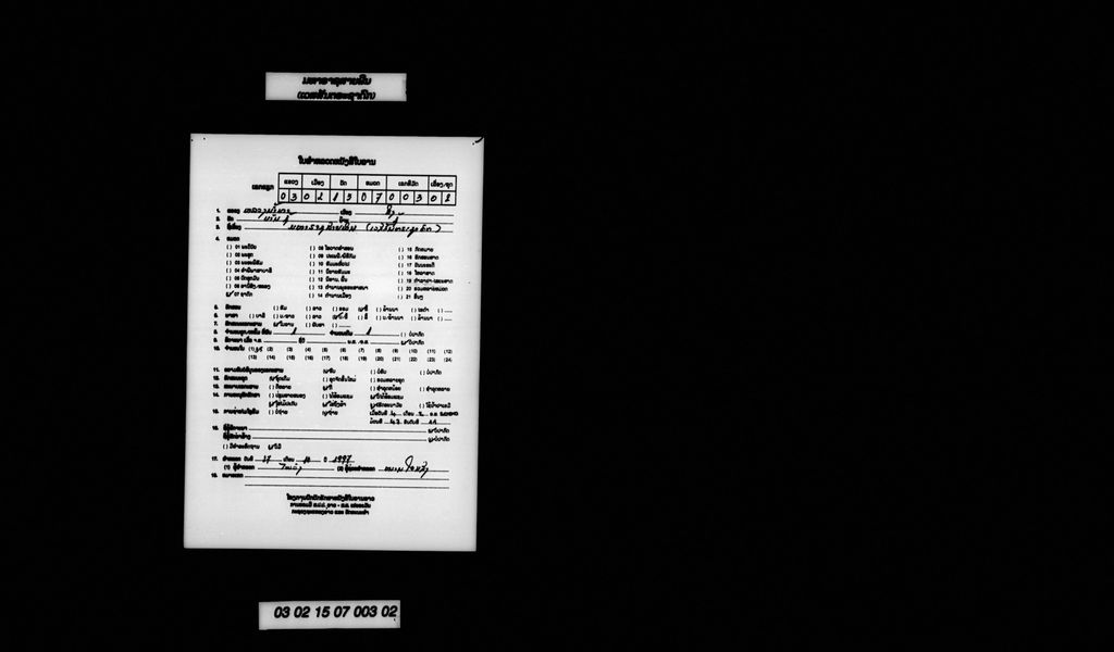 ມຫາຣາຊສາຍພິນ (ເວສສັນຕຣະຊາດົກ)