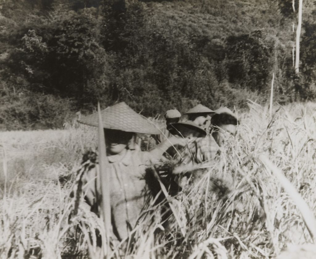 ປະ​ຊາ​ຊົນ​ກ່ຽວ​ເຂົ້າ