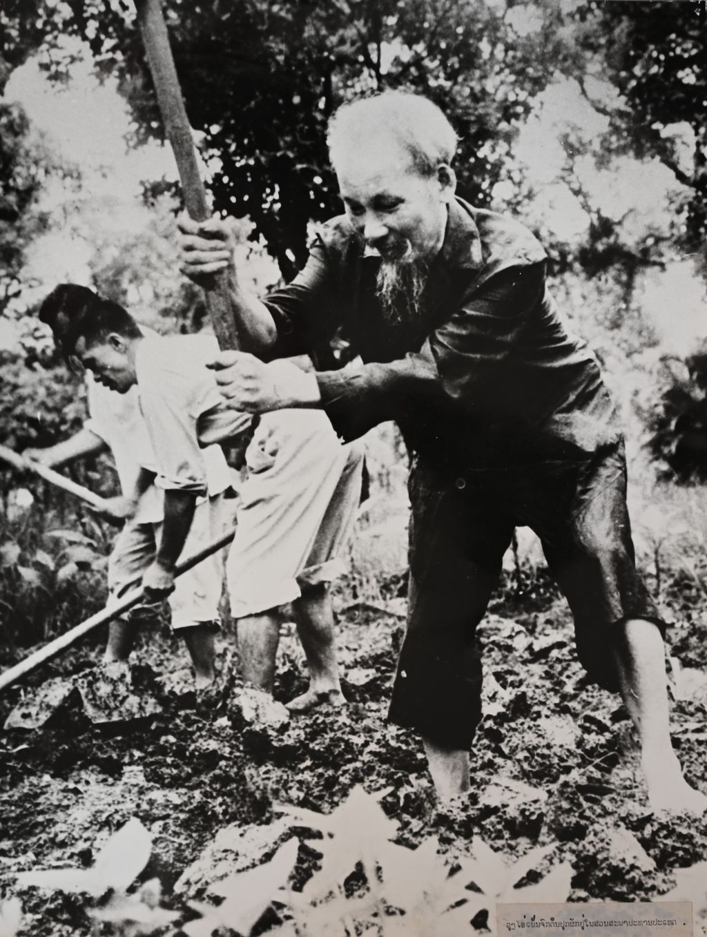 ທ່ານ ໂຮຈິມິນ ຈົກດິນປູກຜັກຢູ່ໃນສວນສະພາປະທານປະເທດ