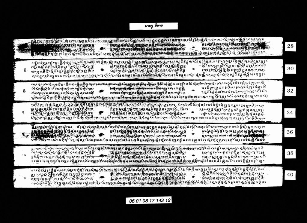 ນິຍາຍລາຍງູ