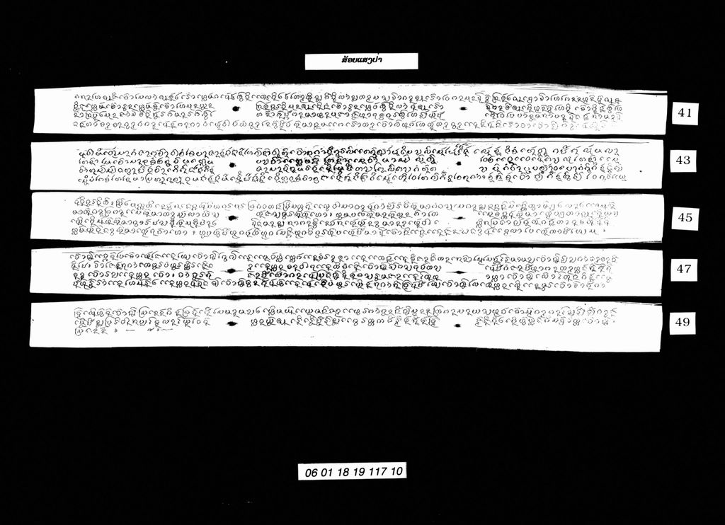 ສ້ອຍແສງປ່າ