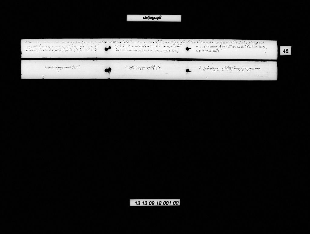 ປະຖົມມູລມູລີ