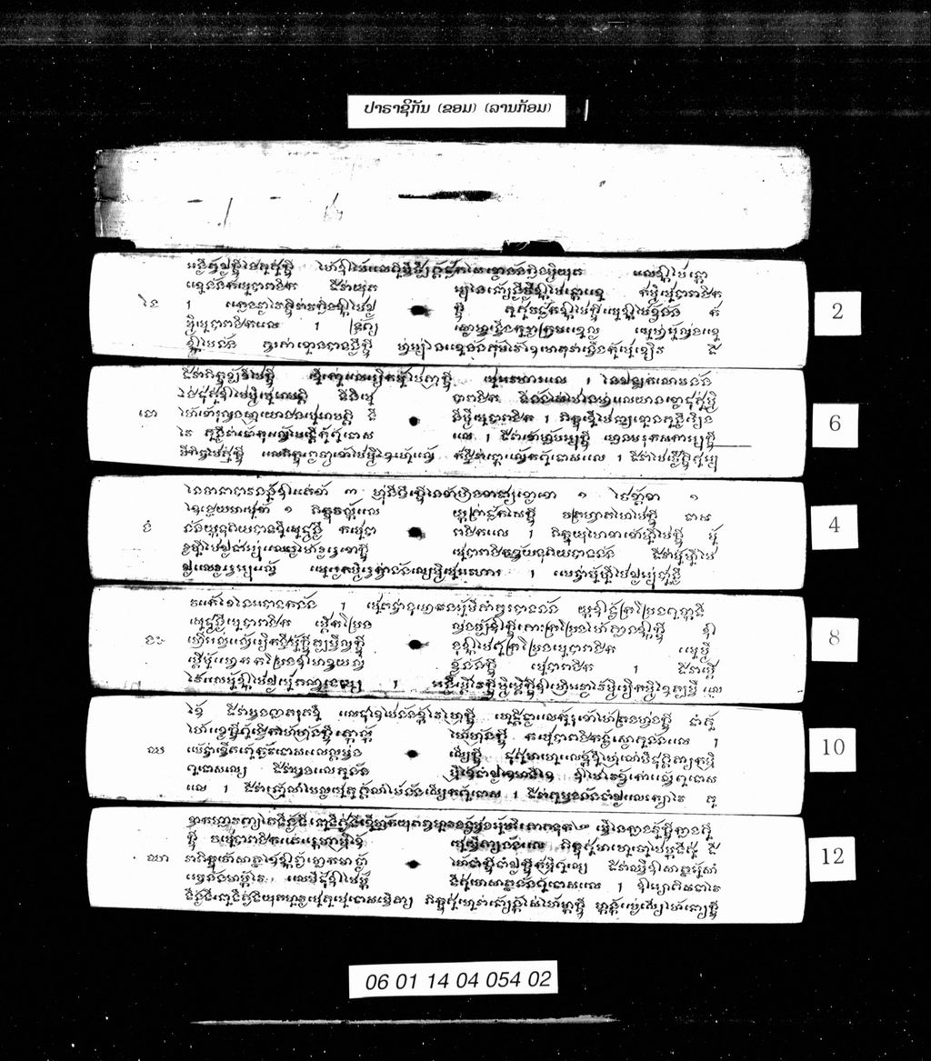 ປາຣາຊິກັນ (ຂອມ) ລານກ້ອມ