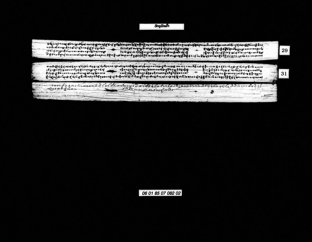 ວັຕຖຸນົກເຄົ້າ