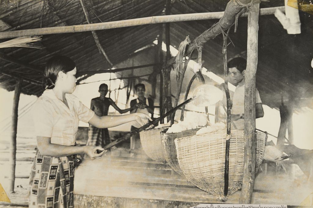 ຫັດຖະກຳຕົ້ນເກືອຂອງປະຊາຊົນ, ບ້ານບໍ, ແຂວງວຽງຈັນ