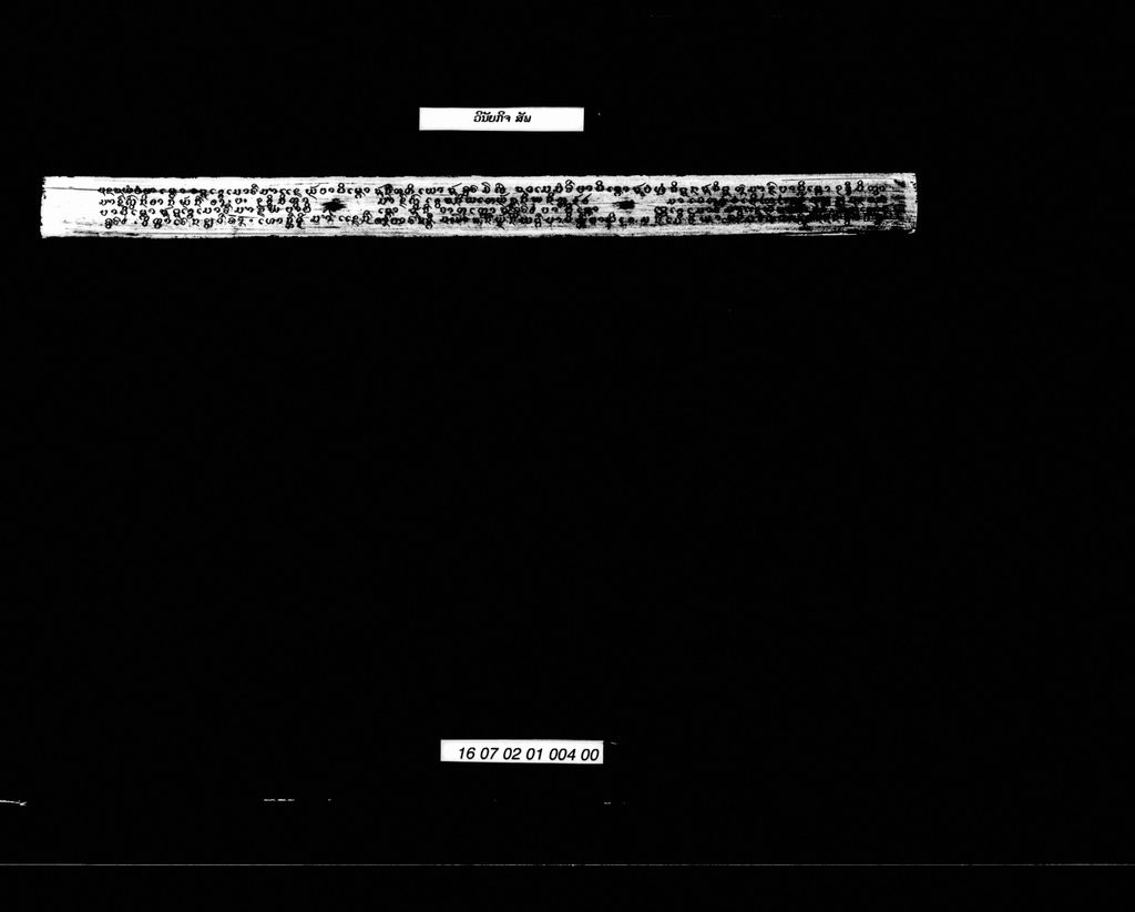 ວິນັຍກິຈ (ສັພ)