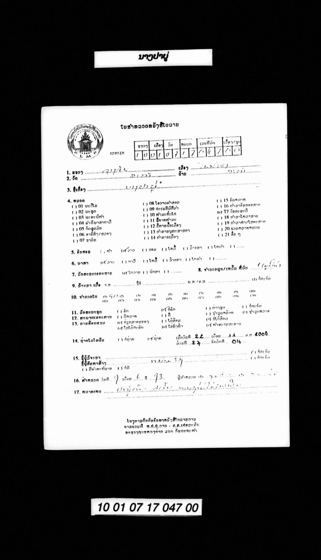 ນາງປາບູ່