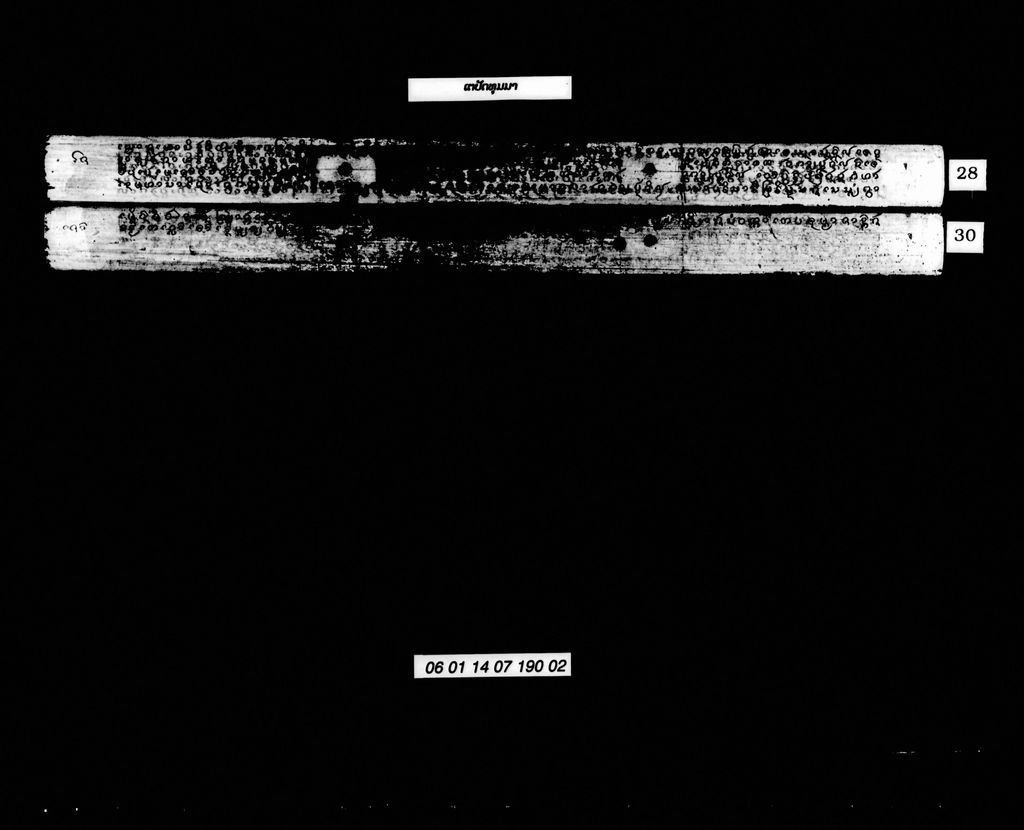 ເຕປັດທຸມມາ