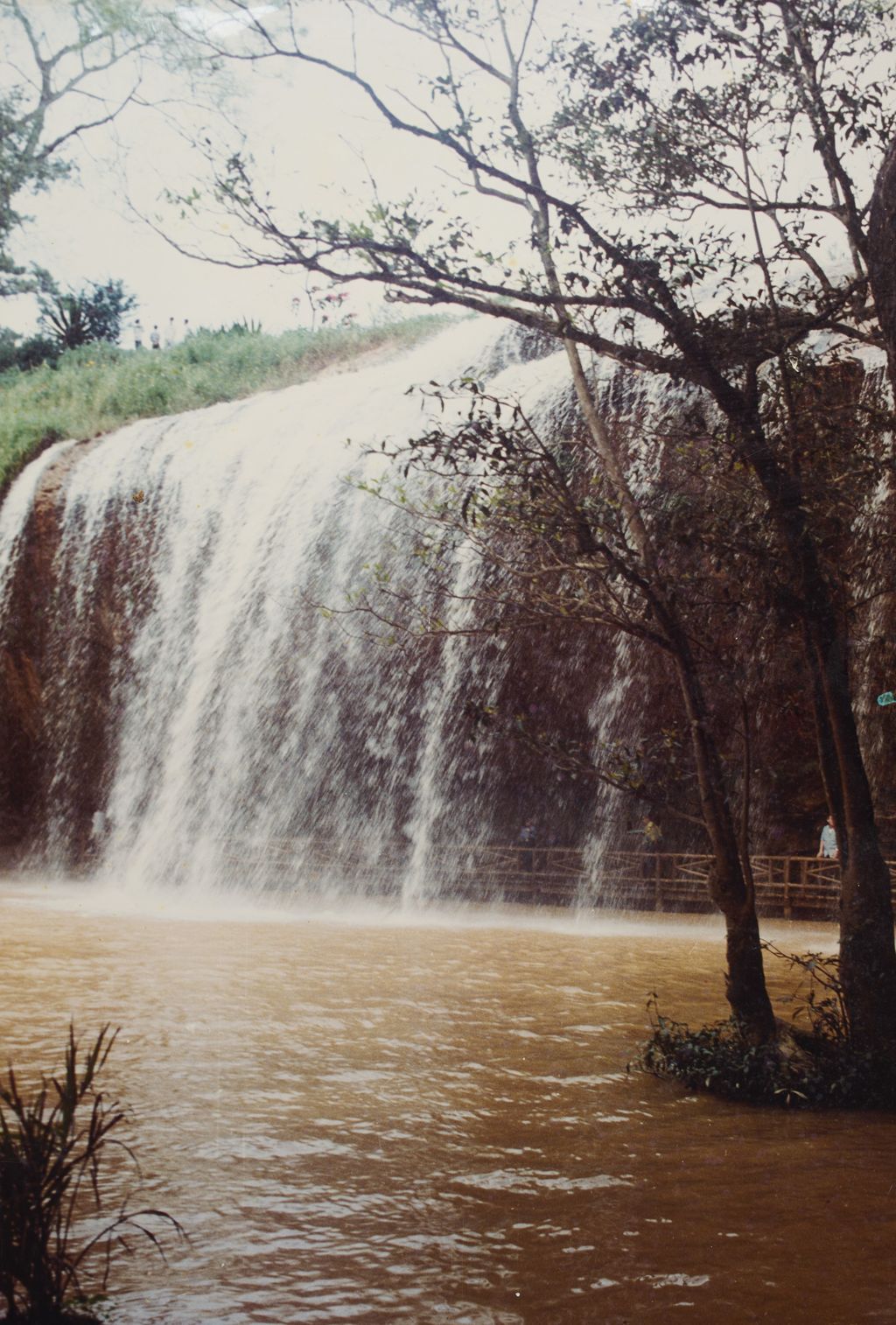 ຕາດ​ແປຼນ​ທິວ​ທັດ​ທີ່​ລື​ຊື່​ຢູ່​ດາ​ລາດ