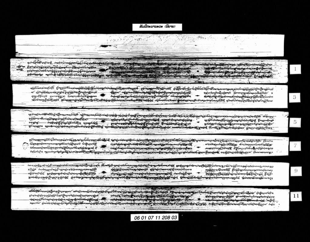 ທັມມິກະມານະວະ (ນິຍາຍ)