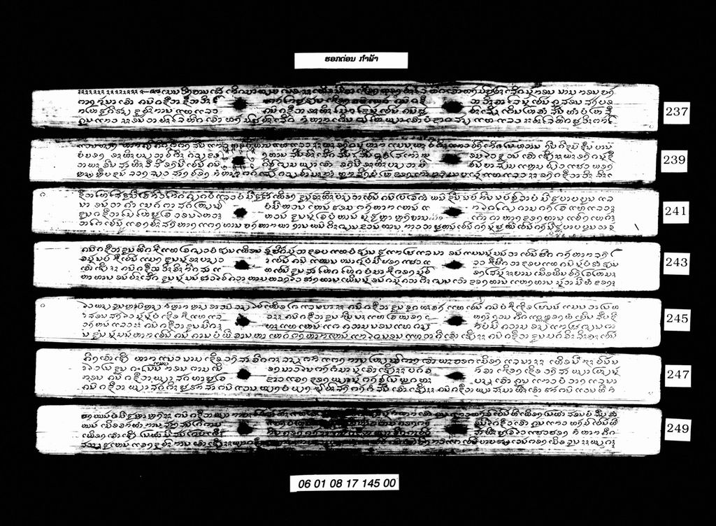 ຮອກດ່ອນ ກຳພ້າ