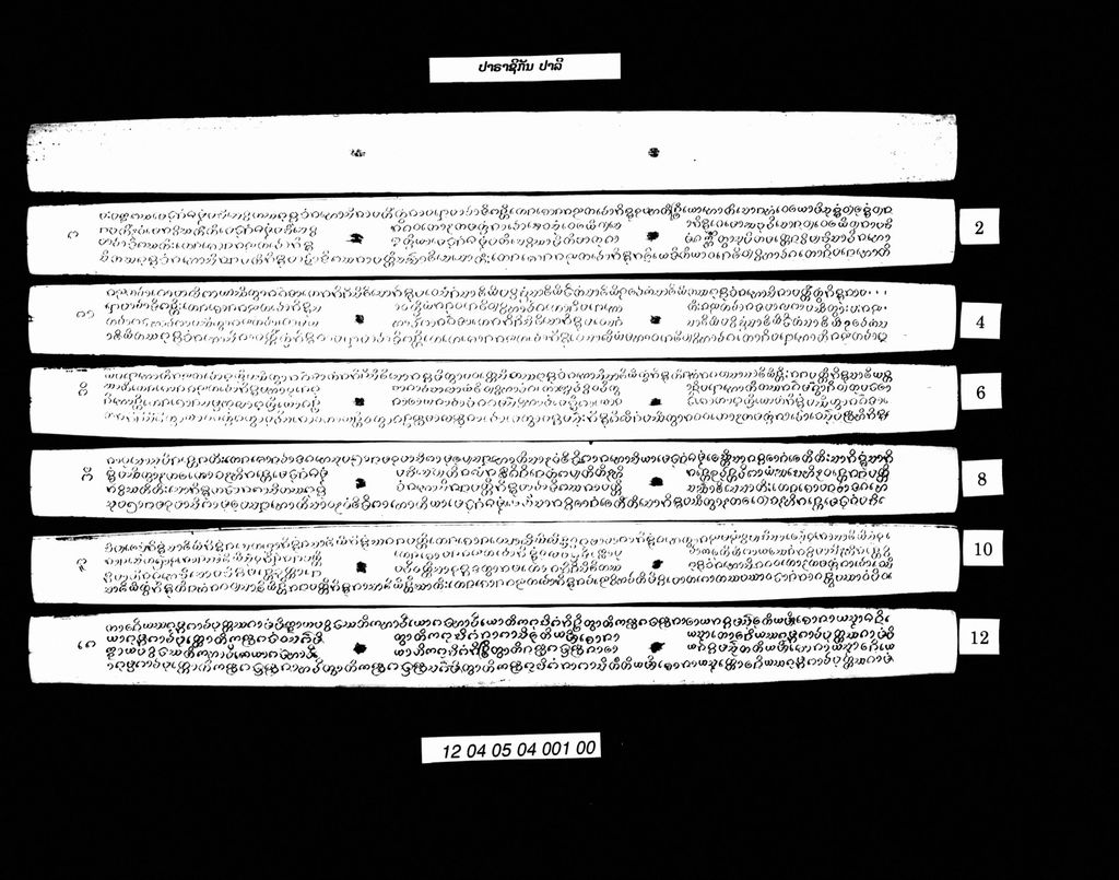 ປາຣາຊິກັນ (ປາລີ)