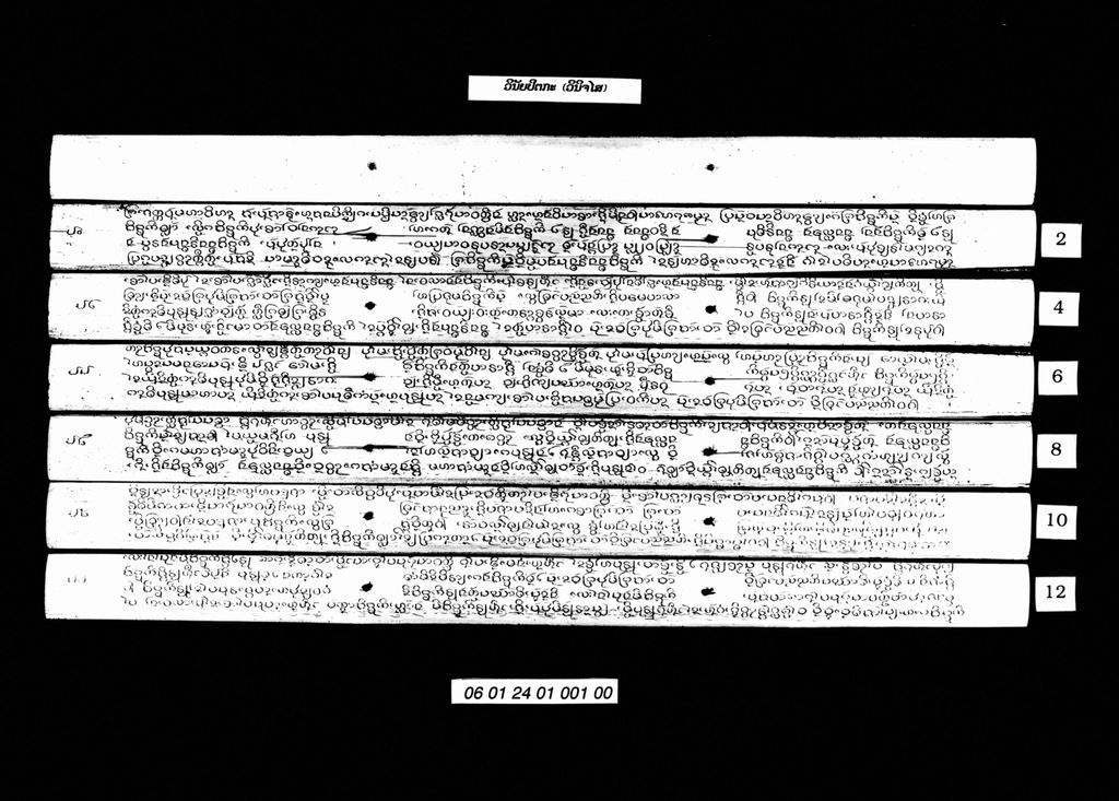 ວິໄນຍະປິຕກະ (ວິນິຈໄສຍະ)