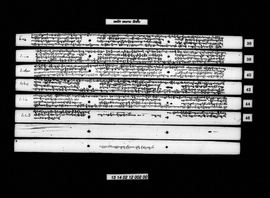 ພະລັກພະລາມ (ມັດຕົ້ນ)