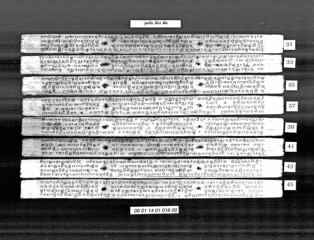 ຈຸລວັຄ ມັດສາມ ( ສັພ )